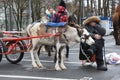 The reindeer, harnessed to a walking cart, and his master